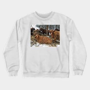 Scottish Highland Cattle Cows and Calves 1870 Crewneck Sweatshirt